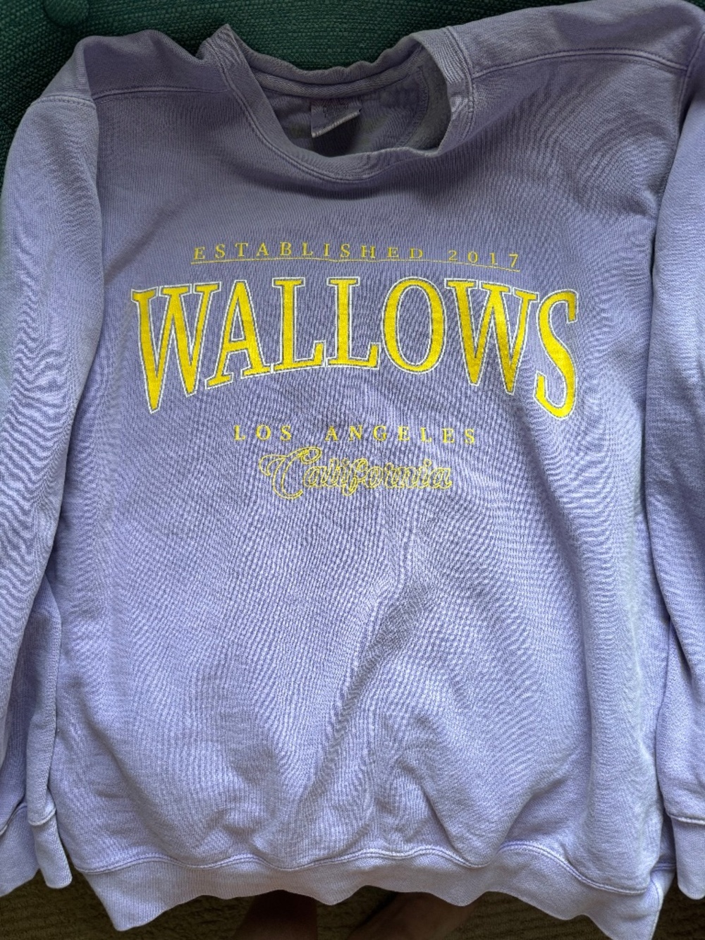 *RARE* EUC Wallows Los Angeles sweatshirt Comfort Colors